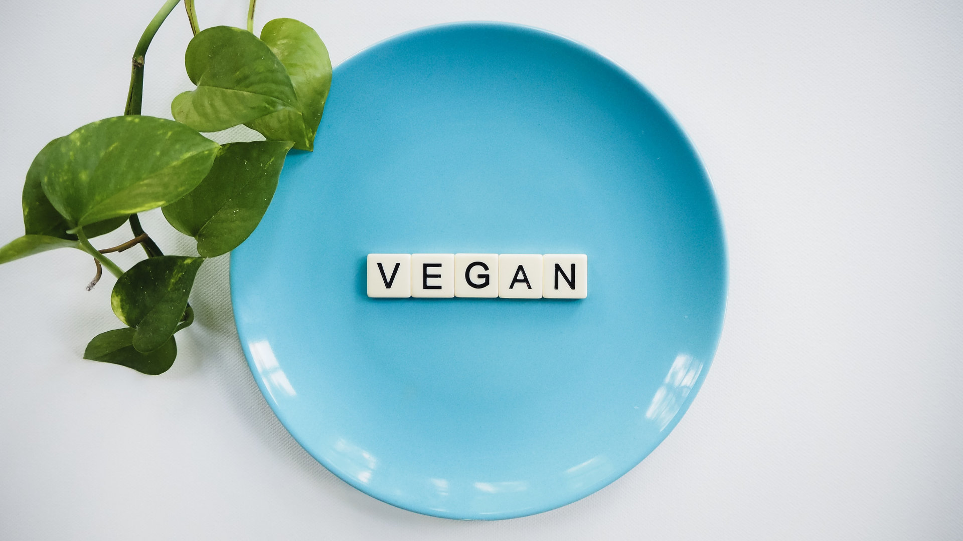7 táplálkozási tipp vegánoknak az Omega-3 zsírsav pótlására